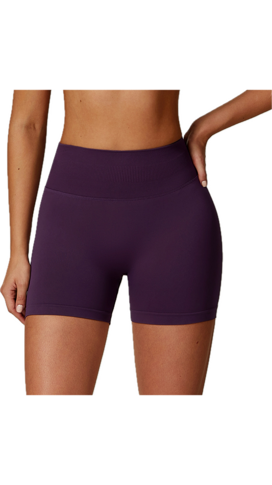 Rosa II. Seamless Bike Shorts | Plum Purple